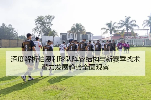 深度解析伯恩利球队阵容结构与新赛季战术潜力发展趋势全面观察