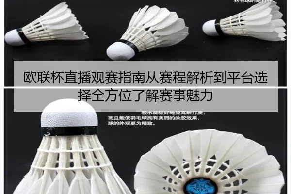 欧联杯直播观赛指南从赛程解析到平台选择全方位了解赛事魅力