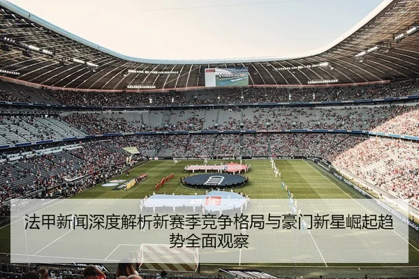 fa-jia-xin-wen-shen-du-jie-xi-xin-sai-ji-jing-zheng-ge-ju-yu-hao-men-xin-xing-jue-qi-qu-shi-quan-mian-guan-cha-2-703.jpg