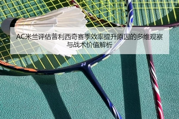 mi-lan-ping-gu-pu-li-xi-qi-sai-ji-xiao-lv-ti-sheng-yuan-yin-de-duo-wei-guan-cha-yu-zhan-shu-jia-zhi-jie-xi-2-845.jpg